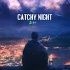 About Catchy Night Song