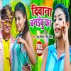 About Diwana Banaibu Ka Bhojpuri Song