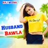 About Husband Bawla Haryanvi Song