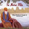 About Tu Mera Pita Song