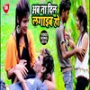 About Ab Na Dil Lagaib Ho Bhojpuri Song