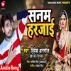 About Sanam Harjai Bhojpuri Song