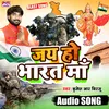 About Jay Ho Bharat Maa Song