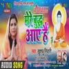 About Mere Buddha Aaye Hain Hindi Song