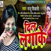 About Dil Laga Ke Bhojpuri Song