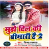 About Mujhe Dil Ki Bimari Hai 2 Song