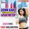 DOWN KARI APAN METER Bhojpuri Song