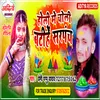 About Holi Me Choli Batihe Sarpanch Bhojpuri Song