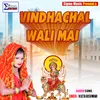 VINDHACHAL WALI MAI