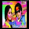 About Holi Me Dharail Biya Bhojpuri Song