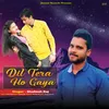 About Dil Tera Ho Gaya Song