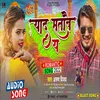 About Aaha Ke Yaad Sathabi Ya Maithili Song