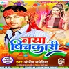 About Naya Pichkari Bhojpuri Song