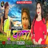 About Ae Papa Bhojpuri Song Song