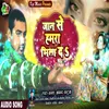 About Jaan Se Hamra Mila Da Bhojpuri Song Song