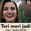 About Teri Meri Jodi Haryanvi Song Song