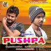 About Ae Pushpa Bhojpuri Song