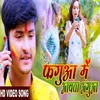 About Phaguaa Me Awata Aguaa Bhojpuri Song Song