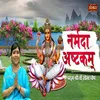 About Narmada Ashtakam Song