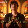 About Jesus The Lord Has Risen Song