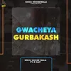 About Gwacheya Gurbakash Song