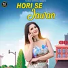 About Hori Se Jawan Song