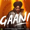 Gaani