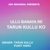 About Ullu Banaya Re Tarun Kullu Ko ( Nagpuri Song ) Song