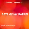 About Aaye Gelay Barati ( Nagpuri Song ) Song