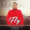 About Fly Song