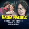 About Naina Nashili Song