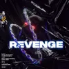 About Revenge Song