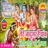 About Tere Jadugar Hai Pav Meri Choti Si Hai Nav Song