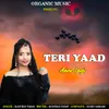 About Teri Yad Aane Lagi Song