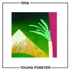 About Young Forever Song