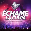 About Échame la Culpa Song