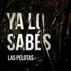 About Ya Lo Sabés Song