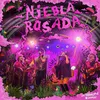 About Niebla Rosada En Vivo Song