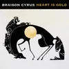 About Heart is Gold Radio Edit Song