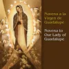 La Virgen de Guadalupe