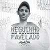 About Neguinho Favelado Song