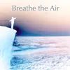 About Breathe the Air Song