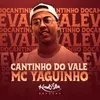 About Cantinho do Vale Song