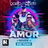About Jugar al Amor Remix Song