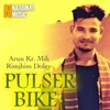 Pulser Bike