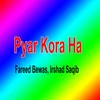 Pyar Kora Ha
