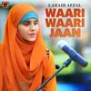 About Waari Waari Jaan Song