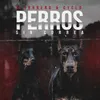 About Perros Sin Correa Song
