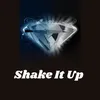 About Shake It Up Song