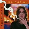 About Пылаешь Song